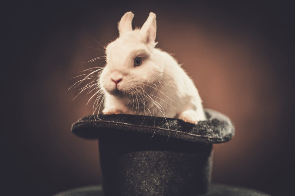 Petit lapin blanc assis sur le bord d'un chapeau haut de forme